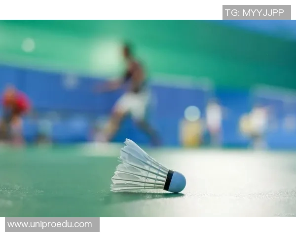 杭州羽毛球队的奋斗历程与杯赛荣耀背后的成长故事